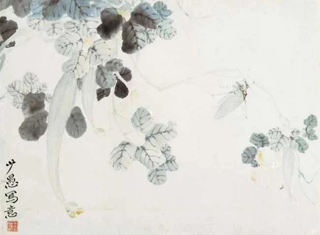 金廷椿花鸟册页片---丝瓜草虫